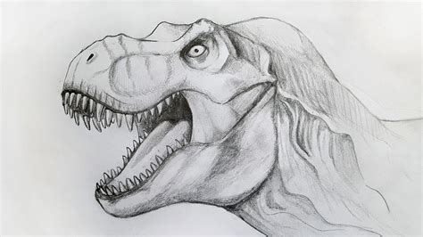 how to draw a dinosaur realistic|t rex step by drawing.